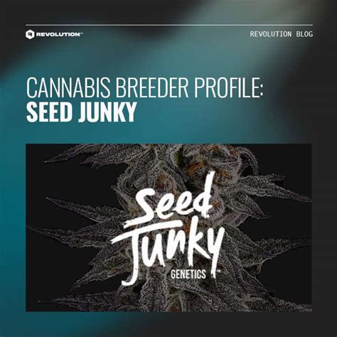 Seed Junky Genetics :: Breeder Info & Cannabis Strains.